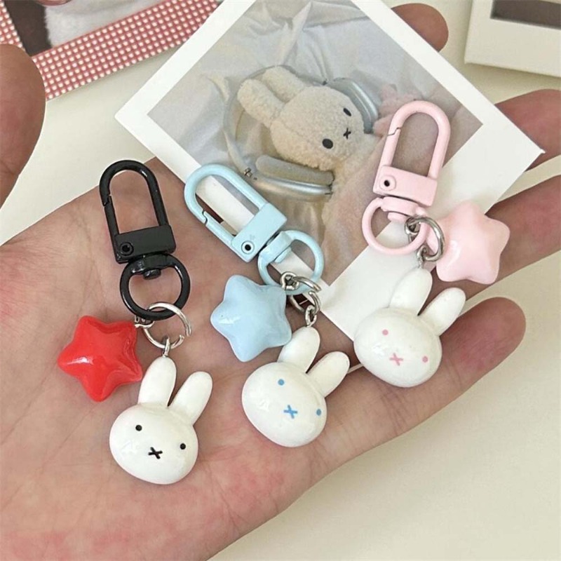 Kawaii Miffy Schlüsselanhänger – Carabiner Keychain Bewertung und Preis